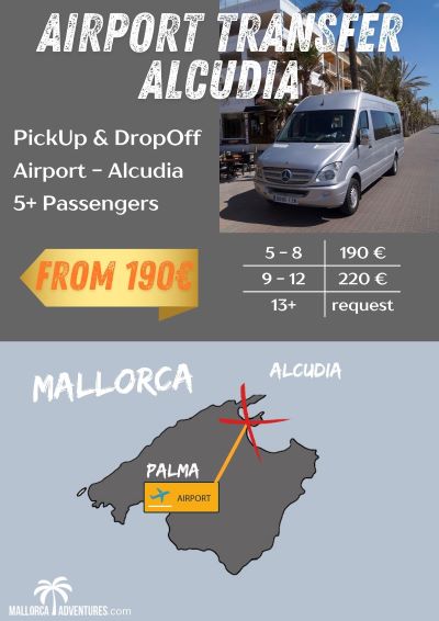 Transfer from and to Alcudia from the airport Arrival and dropoff